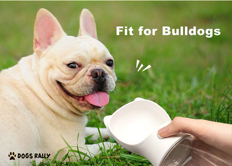 Dog Cat Water Travel Bottle