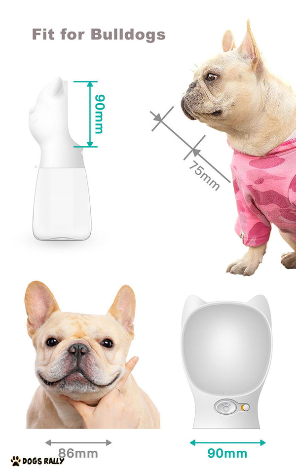 Dog Cat Water Travel Bottle