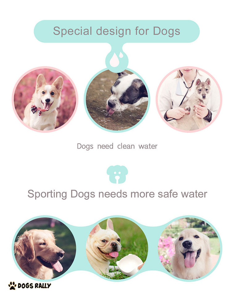 Dog Cat Water Travel Bottle