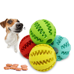 Interactive Ball Toy