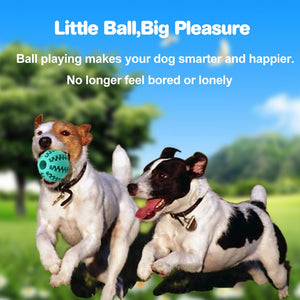 Interactive Ball Toy